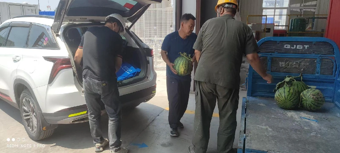 နွေရာသီတွင်နွေရာသီတွင်အေးမြခြင်း,